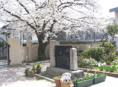 NiziU(ニジュー)のミイヒの高校・中学校はどこ?学歴をチェック!