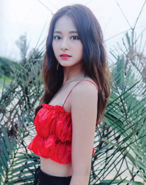 TWICEのメンバーの人気順を国別にご紹介！世界・海外で変わる？