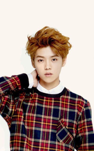 EXO メンバーの年齢順とメンバーカラー、脱退メンバーについて。