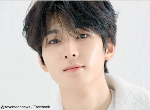 SEVENTEENのメンバー人気ランキング!日本と韓国で人気順は違うの?