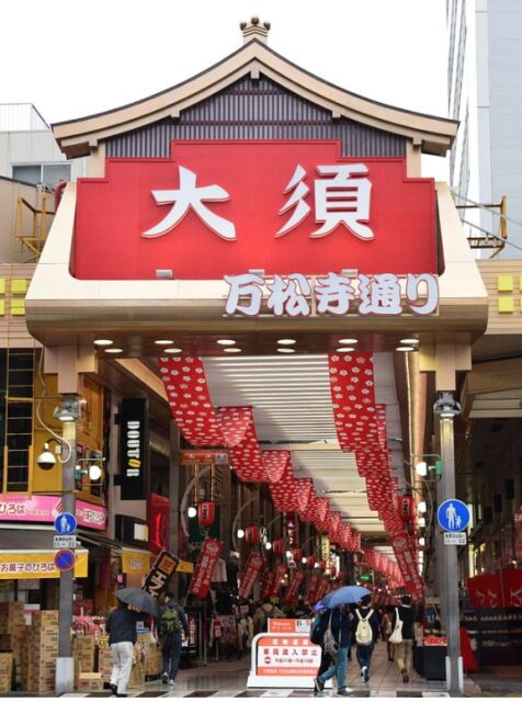 Niziu(ニジュー)のニナ(ヒルマンニナ)の実家・出身地は？気になる地元はどこ？