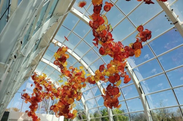 Niziu(ニジュー)のニナ(ヒルマンニナ)の実家・出身地は？気になる地元はどこ？