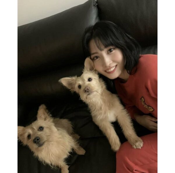 TWICE(トゥワイス)のモモの仲良しメンバーは？仲間はずれで浮いてる説が？