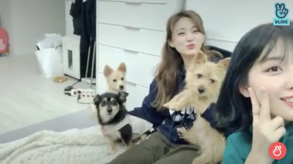 TWICE(トゥワイス)のモモの仲良しメンバーは？仲間はずれで浮いてる説が？