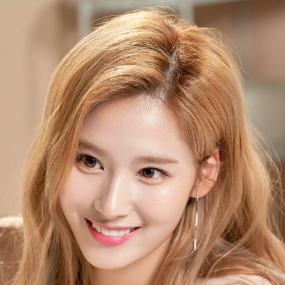 TWICE(トゥワイス)のサナの両親の画像・職業と年収・年齢は?
