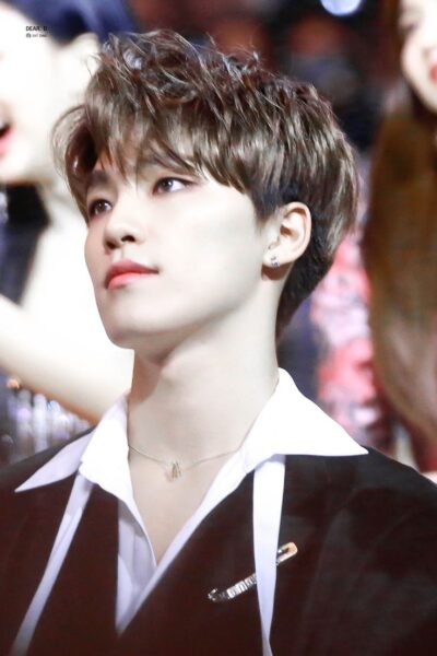 SEVENTEEN(セブンティーン)身長一覧!オーディション時と最新での変化は?