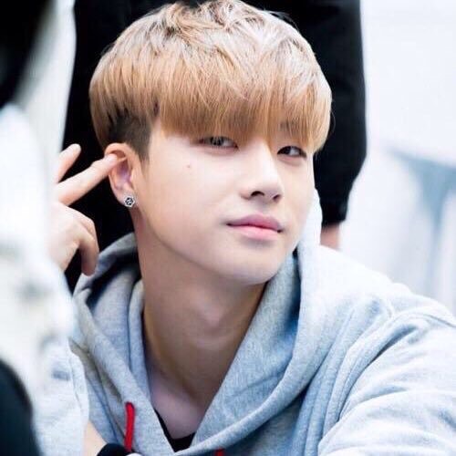 iKONメンバーの見分け方・覚え方紹介！あだ名は？インスタはある？