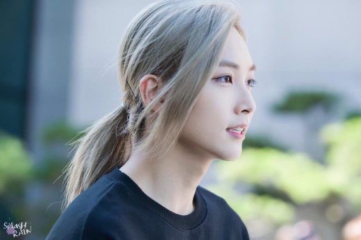 SEVENTEEN(セブンティーン)中国やアメリカでの人気順紹介!本国とはどう違う?