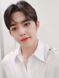 SEVENTEEN(セブンティーン)S.COUPS(エスクプス)の本名・年齢・名言紹介！