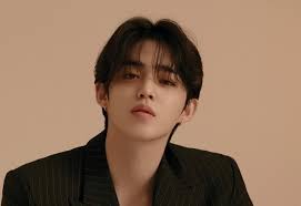 SEVENTEEN(セブンティーン)S.COUPS(エスクプス)の本名・年齢・名言紹介!