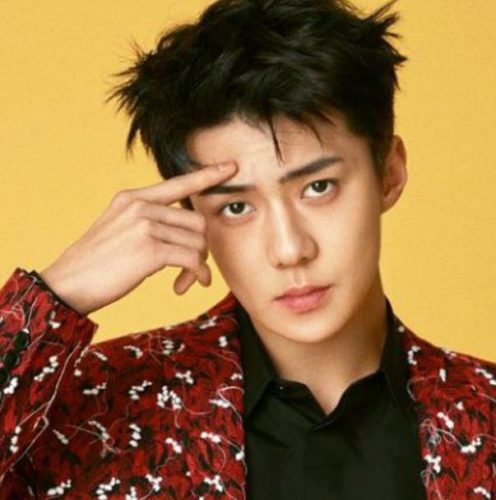 EXO(エクソ)2021年現在のメンバーは何人？あだ名や呼び方、覚え方も伝授！