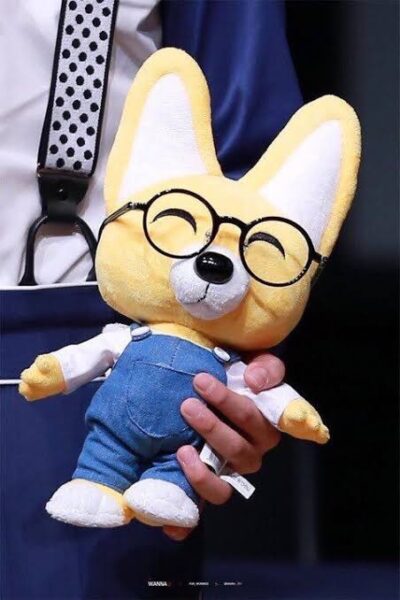 SEVENTEEN(セブンティーン)WONWOO(ウォヌ)の本名やあだ名、身長を徹底調査!