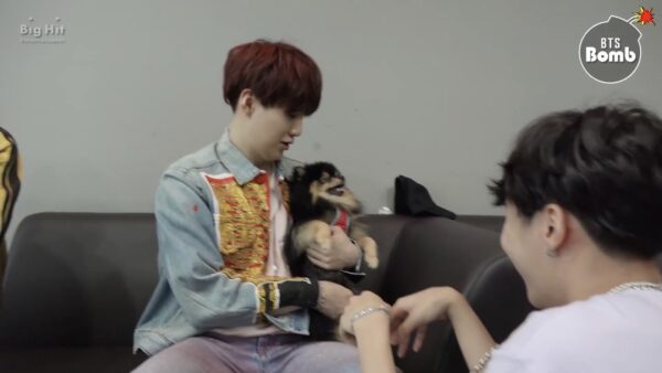 BTS(防弾少年団)V(テテ/ヴィ)は犬好きで実家でも飼っていた？犬の名前はなに？
