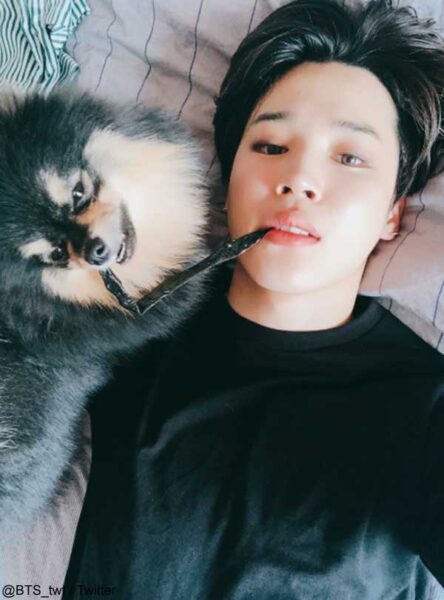 BTS(防弾少年団)V(テテ/ヴィ)は犬好きで実家でも飼っていた？犬の名前はなに？