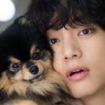 BTS(防弾少年団)V(テテ/ヴィ)は犬好きで実家でも飼っていた?犬の名前はなに?