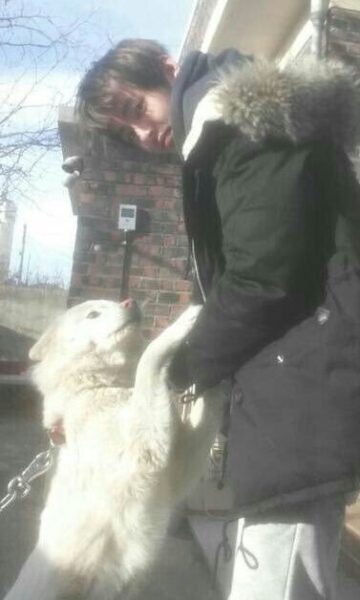 BTS(防弾少年団)V(テテ/ヴィ)は犬好きで実家でも飼っていた？犬の名前はなに？