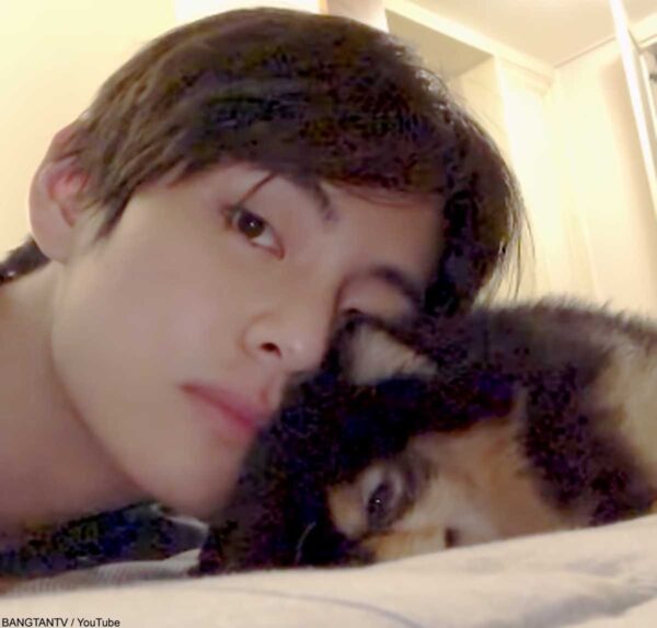 BTS(防弾少年団)V(テテ/ヴィ)は犬好きで実家でも飼っていた？犬の名前はなに？