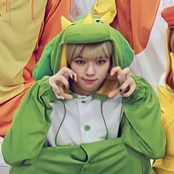 TWICE(トゥワイス)のイメージ動物・キャラクター・絵文字について