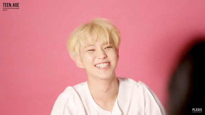 SEVENTEEN（セブチ）WOOZI（ウジ）とホシは似てる？共通点と見分け方！