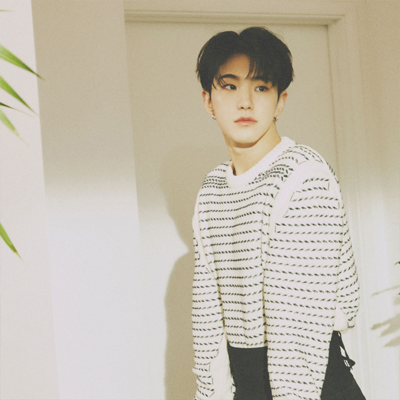 SEVENTEEN（セブチ）WOOZI (ウジ）とホシは似てる？共通点と見分け方！