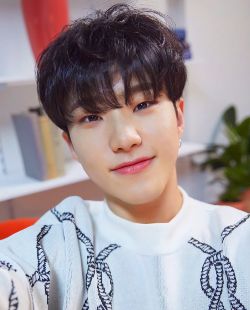 SEVENTEEN（セブチ）WOOZI（ウジ）とホシは似てる？共通点と見分け方！