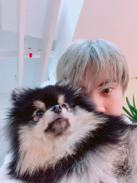 BTS(防弾少年団)V(テテ/ヴィ)は犬好きで実家でも飼っていた？犬の名前はなに？