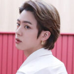 BTS(防弾少年団)ジン愛用の洋服ブランドはどこ？ピアスつけないことが多い？