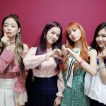 BLACKPINK(ブラックピンク)の活動休止の理由とは?活動終了・解散はいつ?
