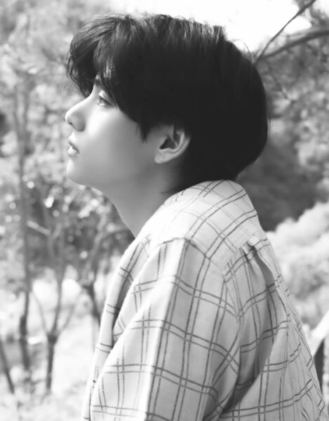 BTS(防弾少年団)V(テテ/ヴィ)の感受性が高くて性格もいい？性格診断してみました！