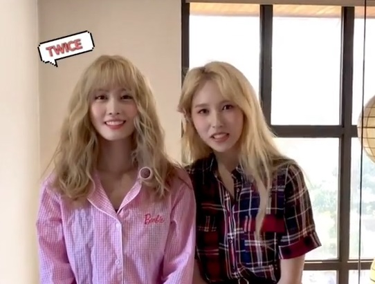 TWICE(トゥワイス)の不仲ペア・仲間はずれはある?ひざ掛けのいじめとは?