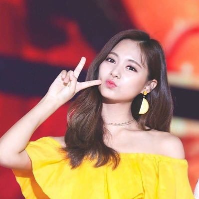 TWICE(トゥワイス)の嫌われてるメンバーランキング2021!
