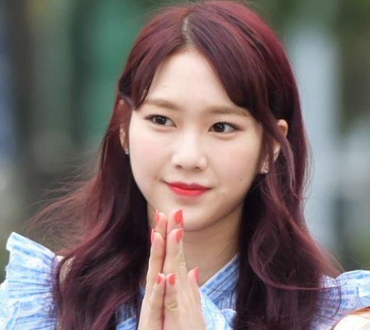 OH MY GIRL(オーマイガール)のファン名は？メンバーカラーとそれぞれの見分け方も！