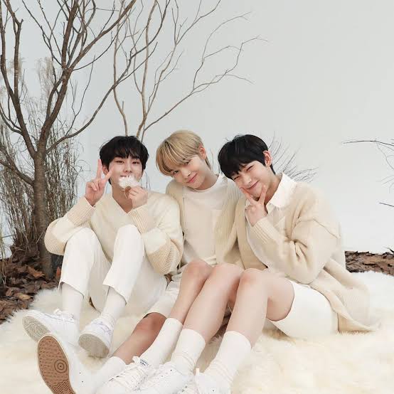 ENHYPEN(エンハイフン)のマンネライン・ヒョンラインの呼び方は?