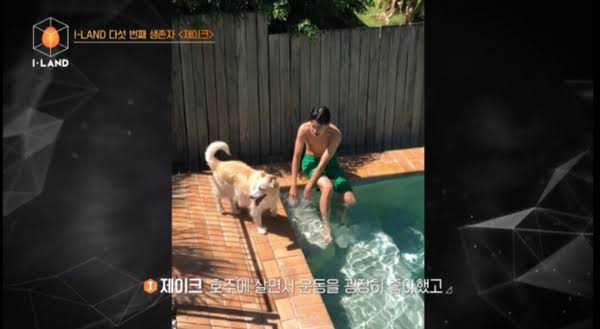 ENHYPEN(エンハイフン)のお金持ちランキング|ジェイ・ジェイク・ニキ・ソンフン?