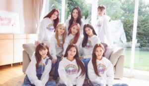 Niziu(ニジュー)の日本宿舎の場所は？部屋割りの現在・間取り情報も