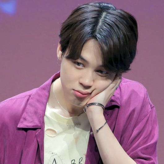 BTS(防弾少年団)ジミンのインスタ紹介！本人だけじゃなく弟もやってるって本当？