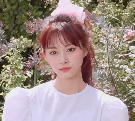 TWICEの痩せすぎ順のメンバーランキング！痩せ方やダイエット方法も