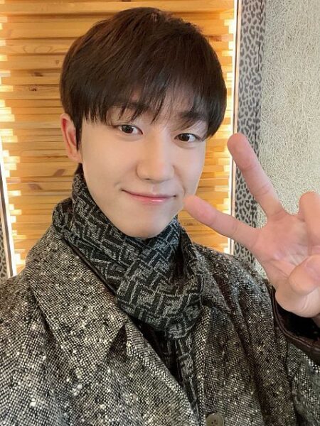 SEVENTEEN(セブチ)のイケメン・ビジュアルランキング!顔面偏差値が高いのは?