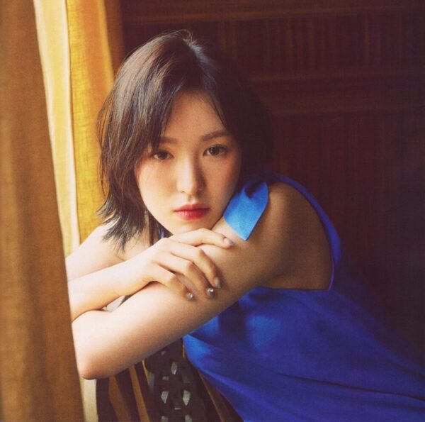 Red velvet(レドベル)のビジュアル担当は誰？美人ランキング！