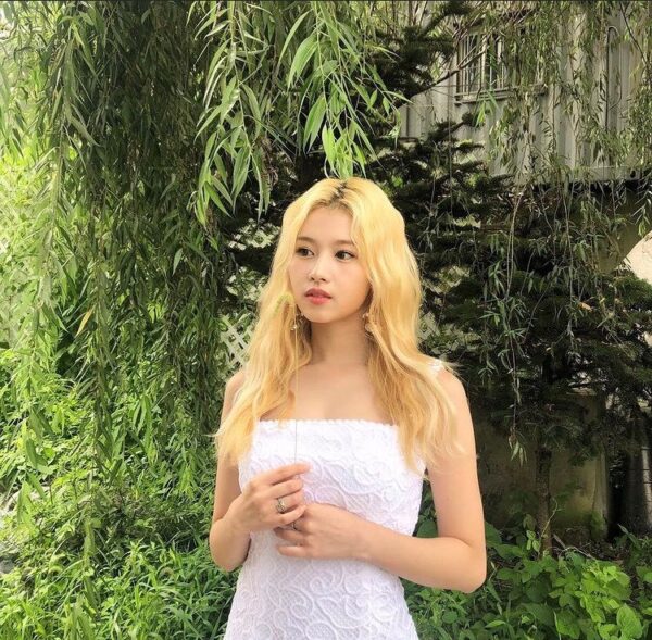 TWICE(トゥワイス)のyoutubeのショート動画が可愛い!オススメランキング