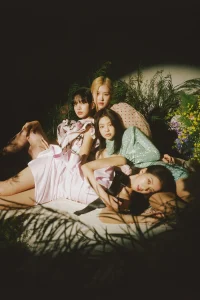 BLACKPINK(ブラックピンク)のアンチコメントや嫌いな人が多いのはなぜ?