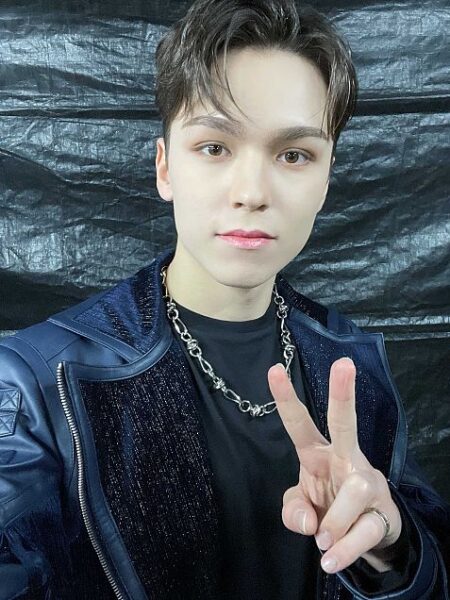 SEVENTEEN(セブチ)のイケメン・ビジュアルランキング!顔面偏差値が高いのは?