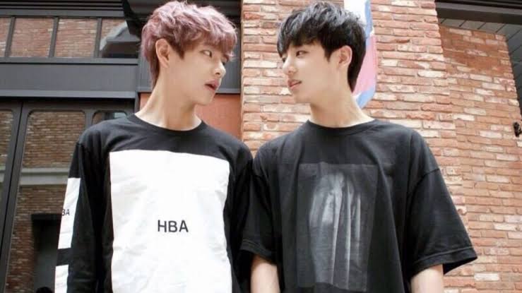 BTS(防弾少年団)V(テテ/ヴィ)とジョングクはラブラブ?!面白いエピソード集