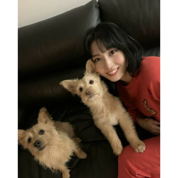 TWICE(トゥワイス)の愛犬・ペットの名前や犬種の一覧！