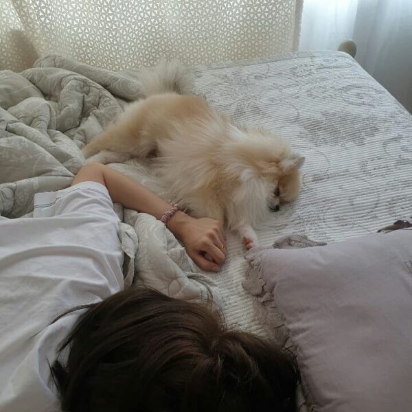 TWICE(トゥワイス)の愛犬・ペットの名前や犬種の一覧!