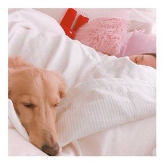 TWICE(トゥワイス)の愛犬・ペットの名前や犬種の一覧!