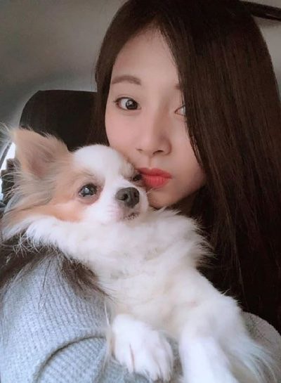TWICE(トゥワイス)の愛犬・ペットの名前や犬種の一覧!