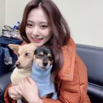 TWICE(トゥワイス)の愛犬・ペットの名前や犬種の一覧!
