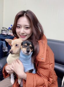 TWICE(トゥワイス)の愛犬・ペットの名前や犬種の一覧！