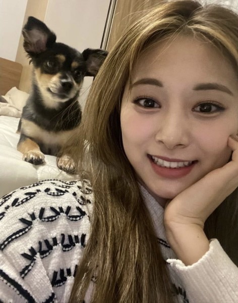 TWICE(トゥワイス)の愛犬・ペットの名前や犬種の一覧!